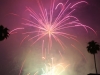 img_6761 img_6761